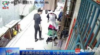 广西贵港新闻爆料偷内衣,警方全力追查 第1张 广西贵港新闻爆料偷内衣,警方全力追查 第1张