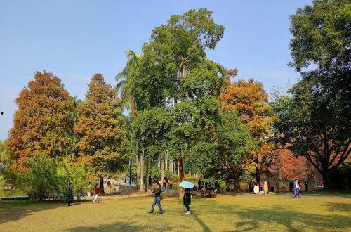 植物园在线观看,在线探索植物园的奇妙之旅 第3张 植物园在线观看,在线探索植物园的奇妙之旅 第3张